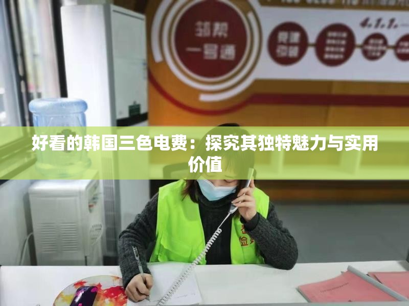 好看的韩国三色电费：探究其独特魅力与实用价值