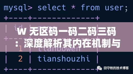 W 无区码一码二码三码：深度解析其内在机制与应用场景