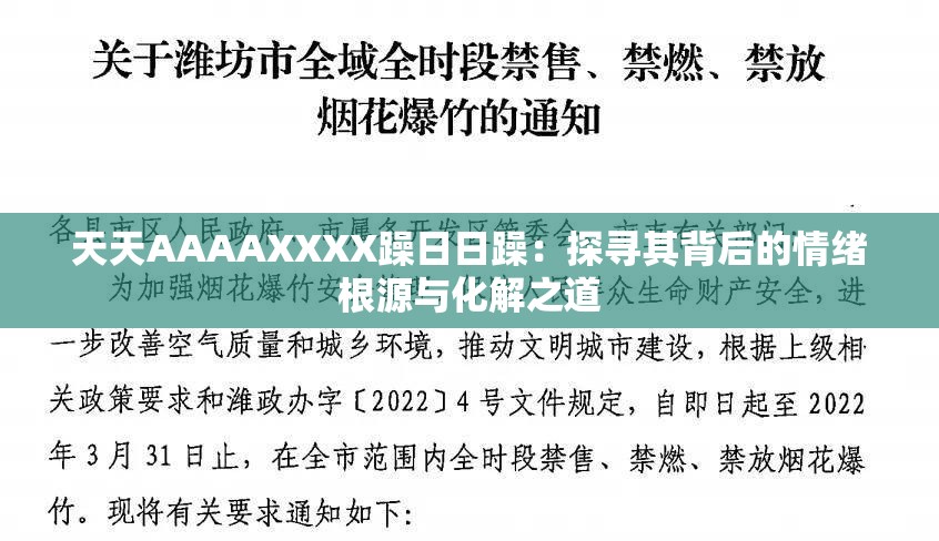 天天AAAAXXXX躁日日躁：探寻其背后的情绪根源与化解之道