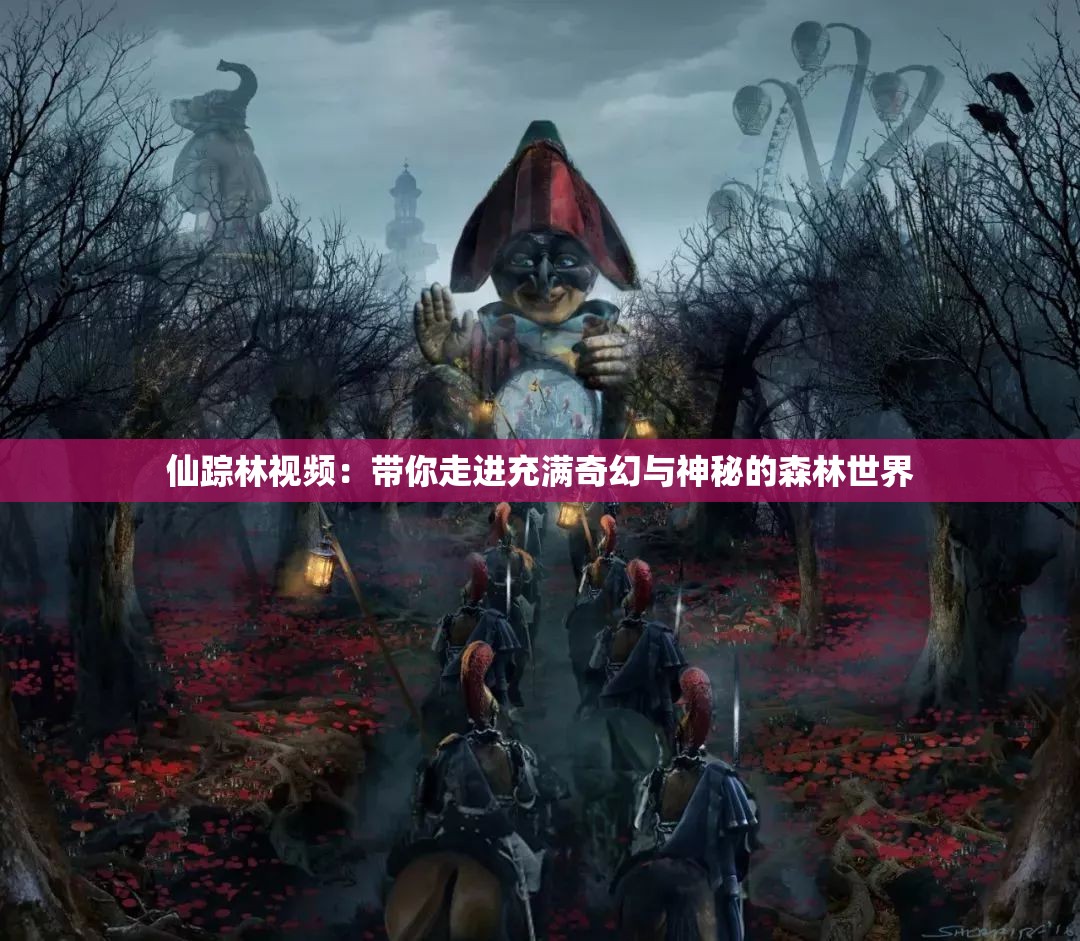 仙踪林视频：带你走进充满奇幻与神秘的森林世界