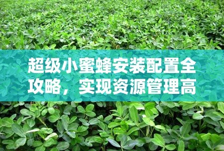 超级小蜜蜂安装配置全攻略，实现资源管理高效利用，有效避免资源浪费