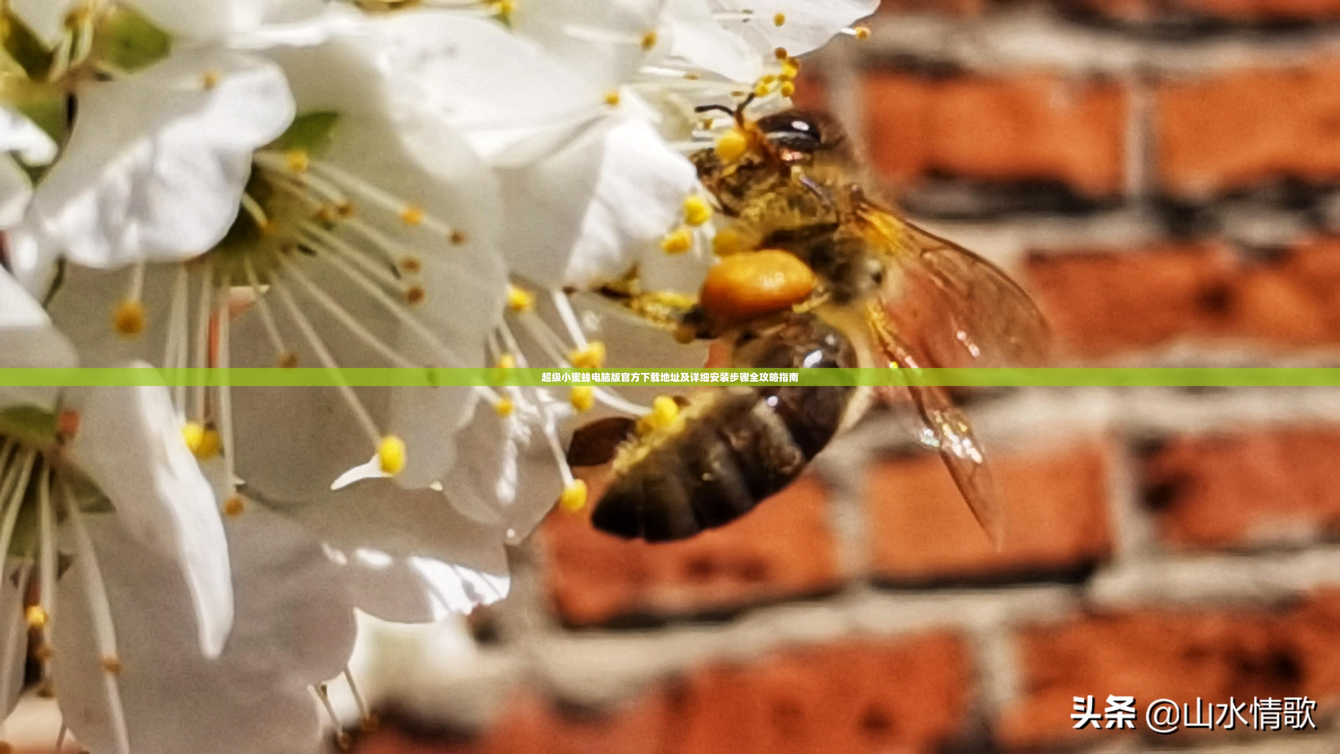 超级小蜜蜂电脑版官方下载地址及详细安装步骤全攻略指南