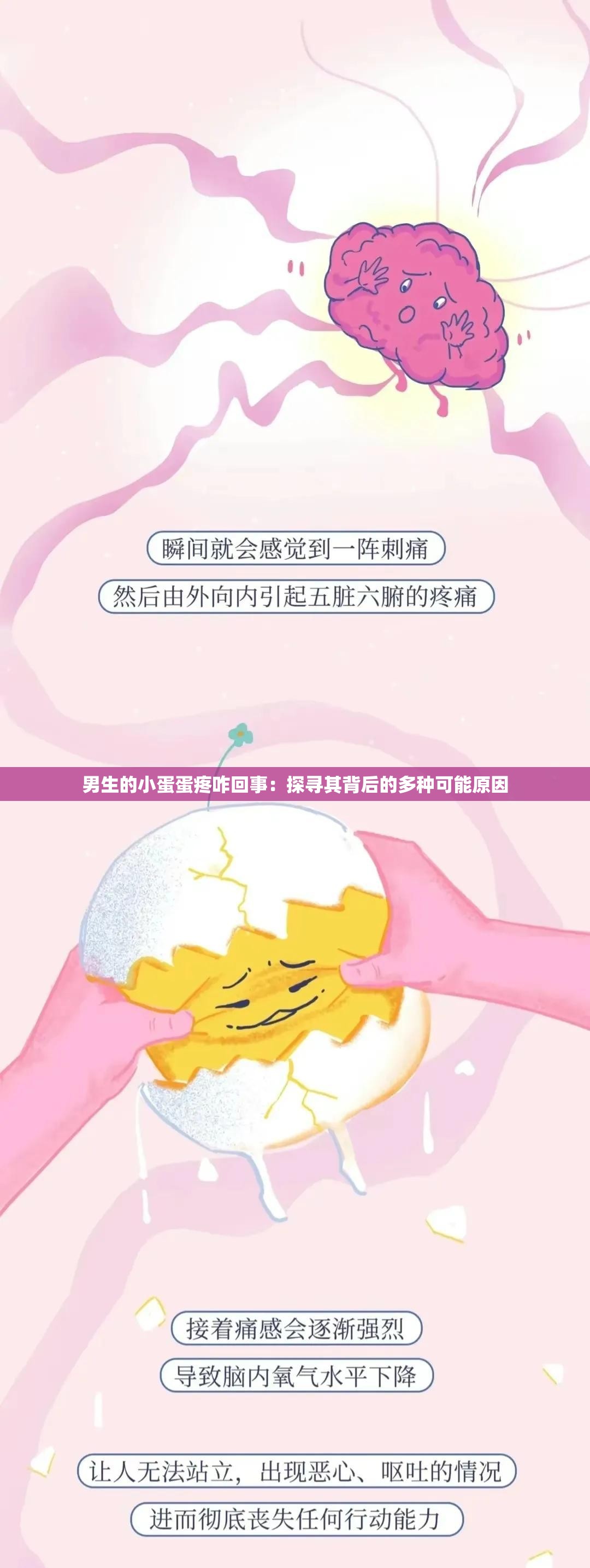 男生的小蛋蛋疼咋回事：探寻其背后的多种可能原因