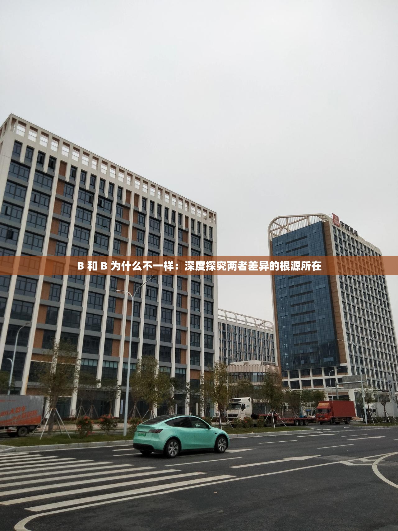 B 和 B 为什么不一样：深度探究两者差异的根源所在