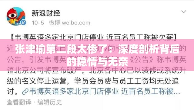 张津瑜第二段太惨了：深度剖析背后的隐情与无奈