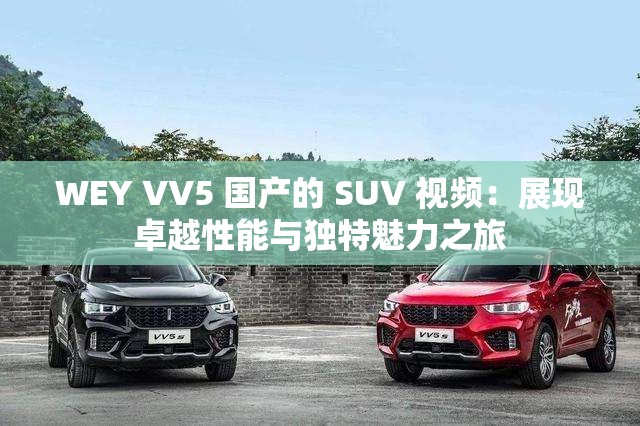 WEY VV5 国产的 SUV 视频：展现卓越性能与独特魅力之旅