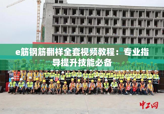 e筋钢筋翻样全套视频教程：专业指导提升技能必备