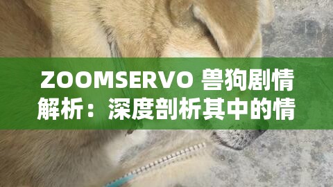 ZOOMSERVO 兽狗剧情解析：深度剖析其中的情感与冲突