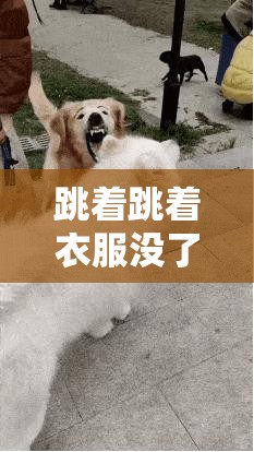 跳着跳着衣服没了：一场意外引发的尴尬事件