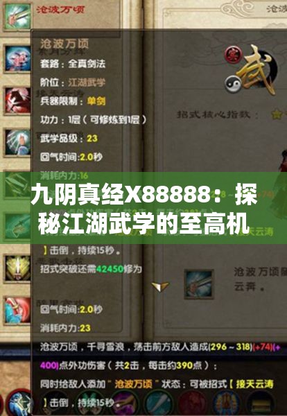 九阴真经X88888：探秘江湖武学的至高机密与神秘力量