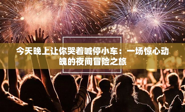 今天晚上让你哭着喊停小车：一场惊心动魄的夜间冒险之旅