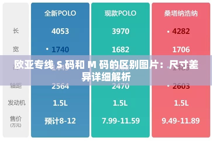 欧亚专线 S 码和 M 码的区别图片：尺寸差异详细解析