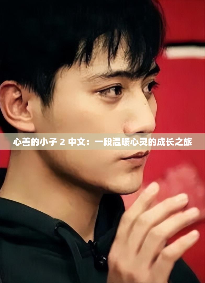 心善的小子 2 中文：一段温暖心灵的成长之旅