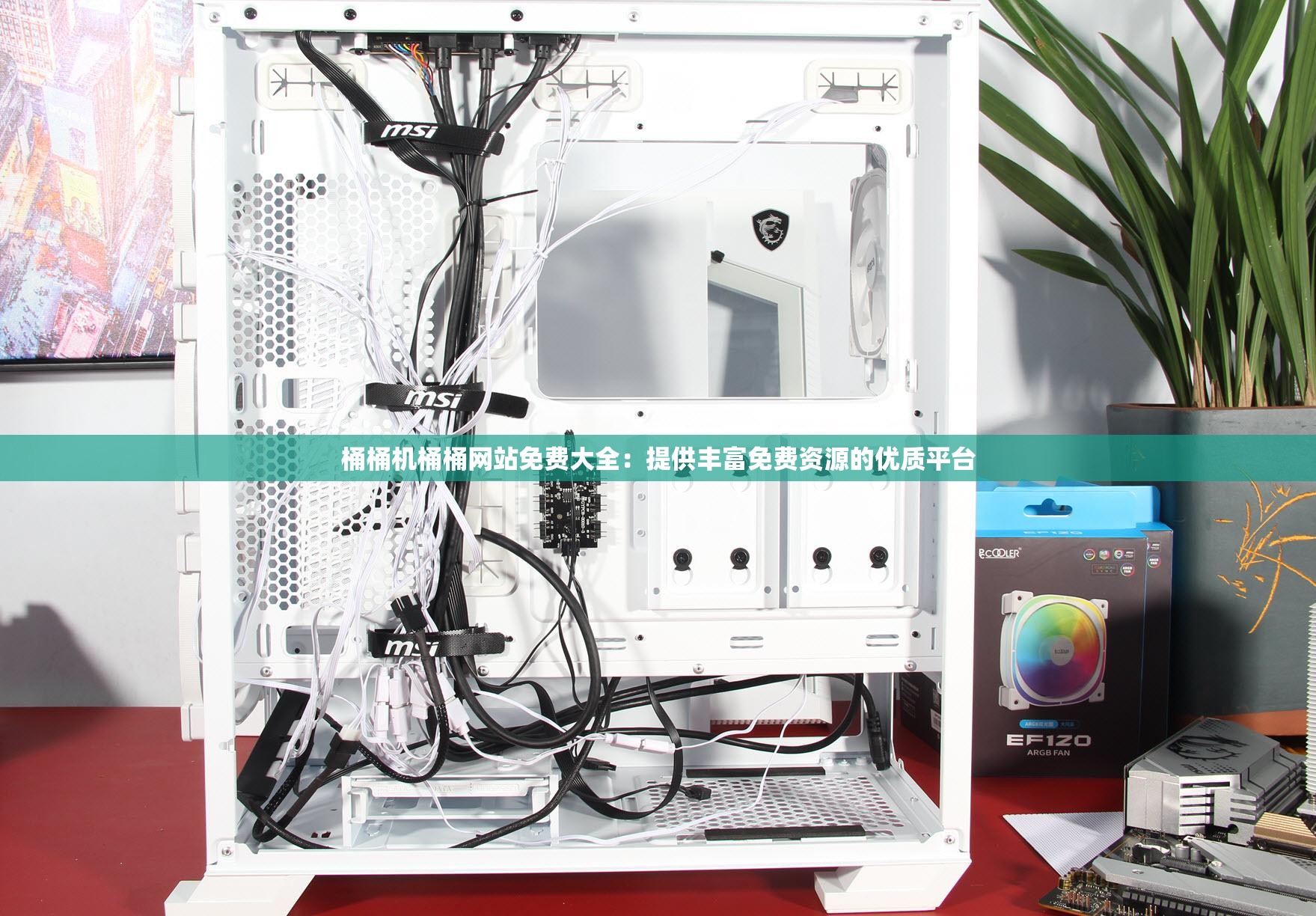 桶桶机桶桶网站免费大全：提供丰富免费资源的优质平台