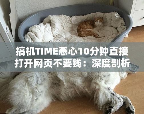 搞机TIME恶心10分钟直接打开网页不要钱：深度剖析其背后的猫腻
