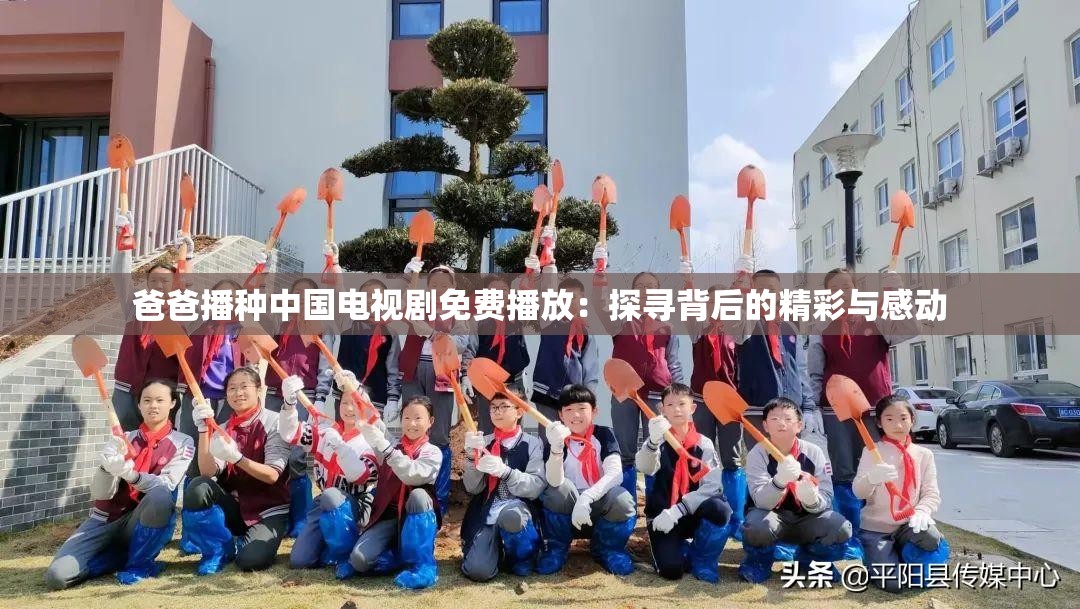 爸爸播种中国电视剧免费播放：探寻背后的精彩与感动