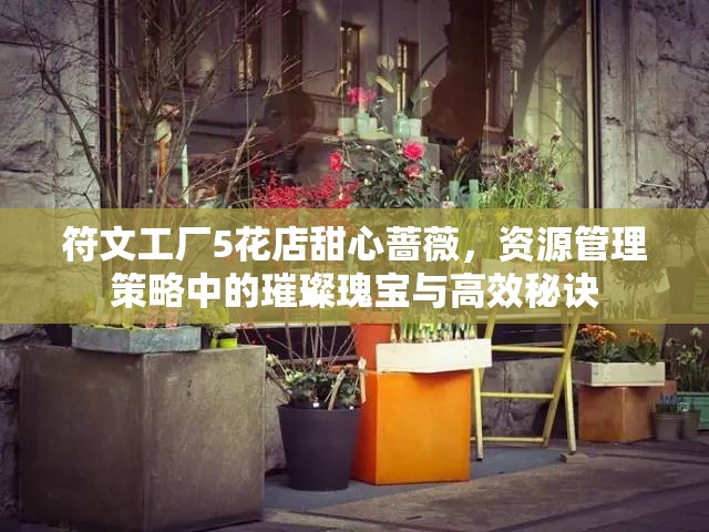 符文工厂5花店甜心蔷薇，资源管理策略中的璀璨瑰宝与高效秘诀