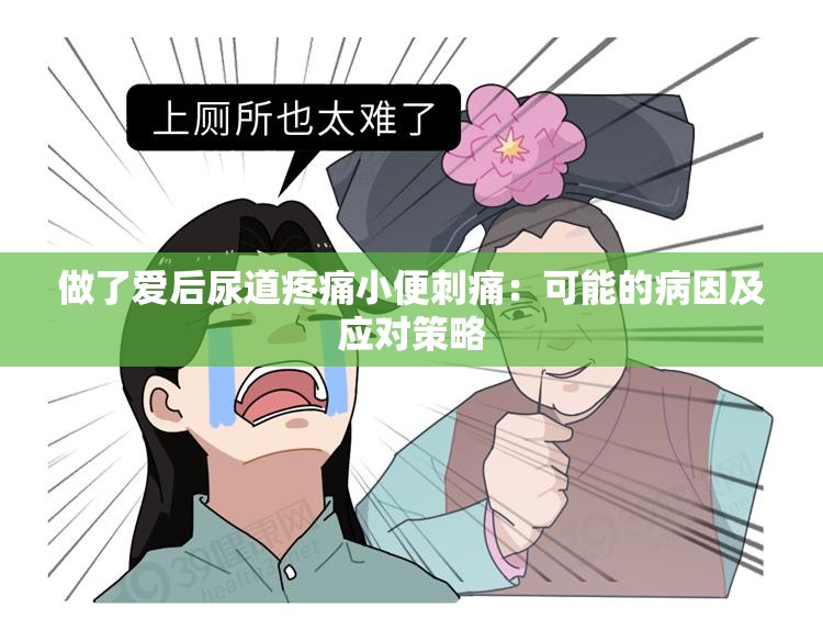 做了爱后尿道疼痛小便刺痛：可能的病因及应对策略