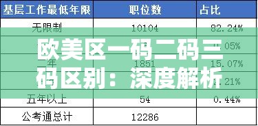 欧美区一码二码三码区别：深度解析其不同与应用场景