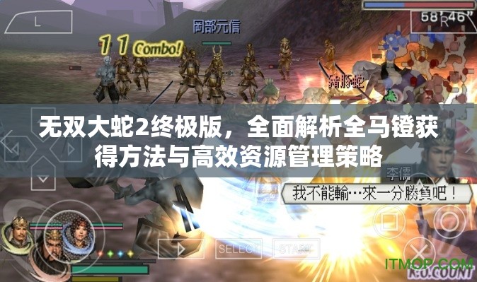 无双大蛇2终极版，全面解析全马镫获得方法与高效资源管理策略