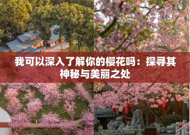 我可以深入了解你的樱花吗：探寻其神秘与美丽之处