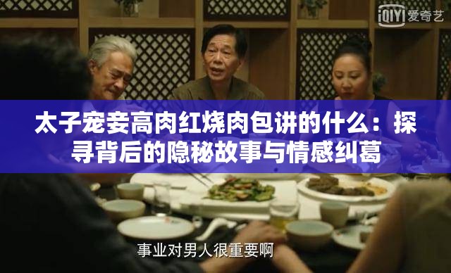 太子宠妾高肉红烧肉包讲的什么：探寻背后的隐秘故事与情感纠葛