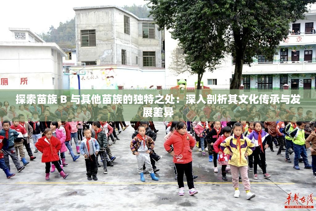 探索苗族 B 与其他苗族的独特之处：深入剖析其文化传承与发展差异
