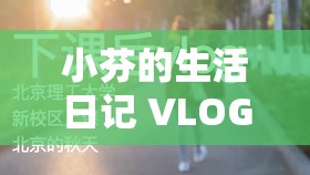 小芬的生活日记 VLOG ：展现平凡日子中的精彩瞬间