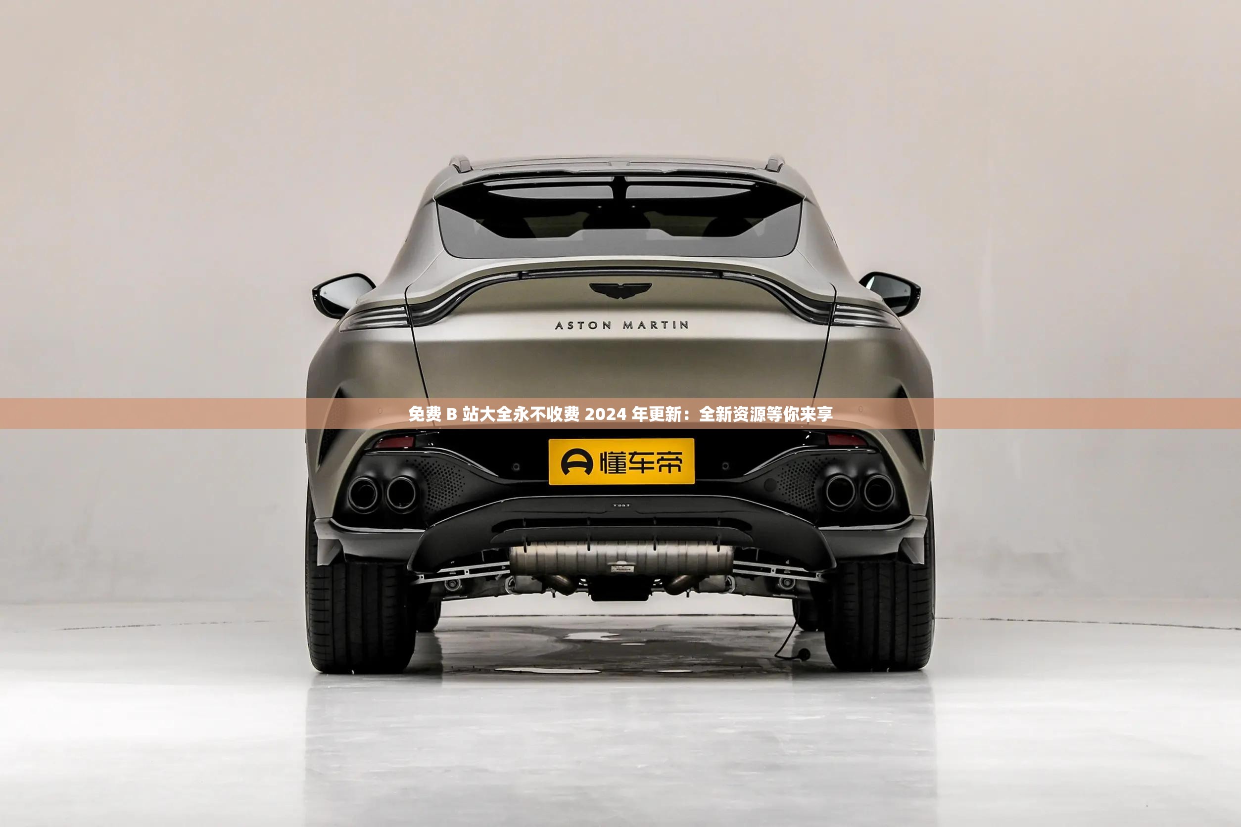 免费 B 站大全永不收费 2024 年更新：全新资源等你来享