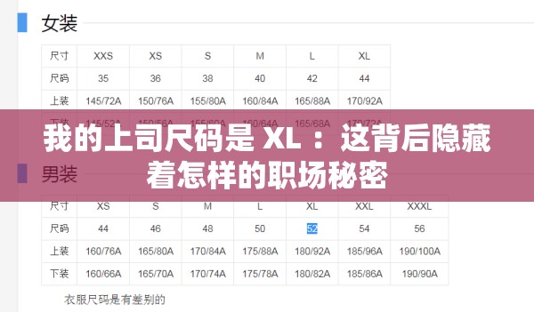 我的上司尺码是 XL ：这背后隐藏着怎样的职场秘密