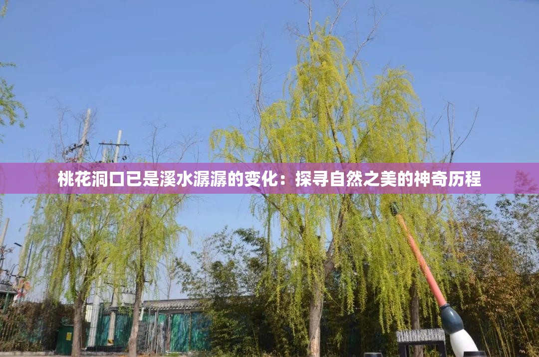 桃花洞口已是溪水潺潺的变化：探寻自然之美的神奇历程