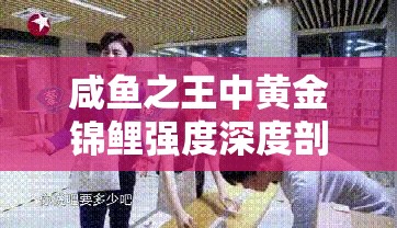 咸鱼之王中黄金锦鲤强度深度剖析及高效资源管理策略探讨
