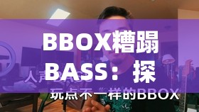 BBOX糟蹋BASS：探寻背后原因及可能的解决之道