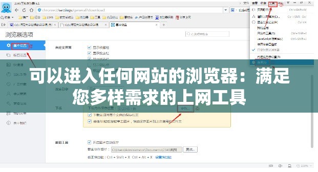 可以进入任何网站的浏览器：满足您多样需求的上网工具