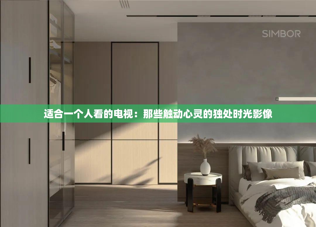 适合一个人看的电视：那些触动心灵的独处时光影像