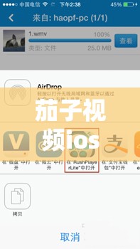 茄子视频ios无限下载免费看：警惕非法软件带来的风险与危害