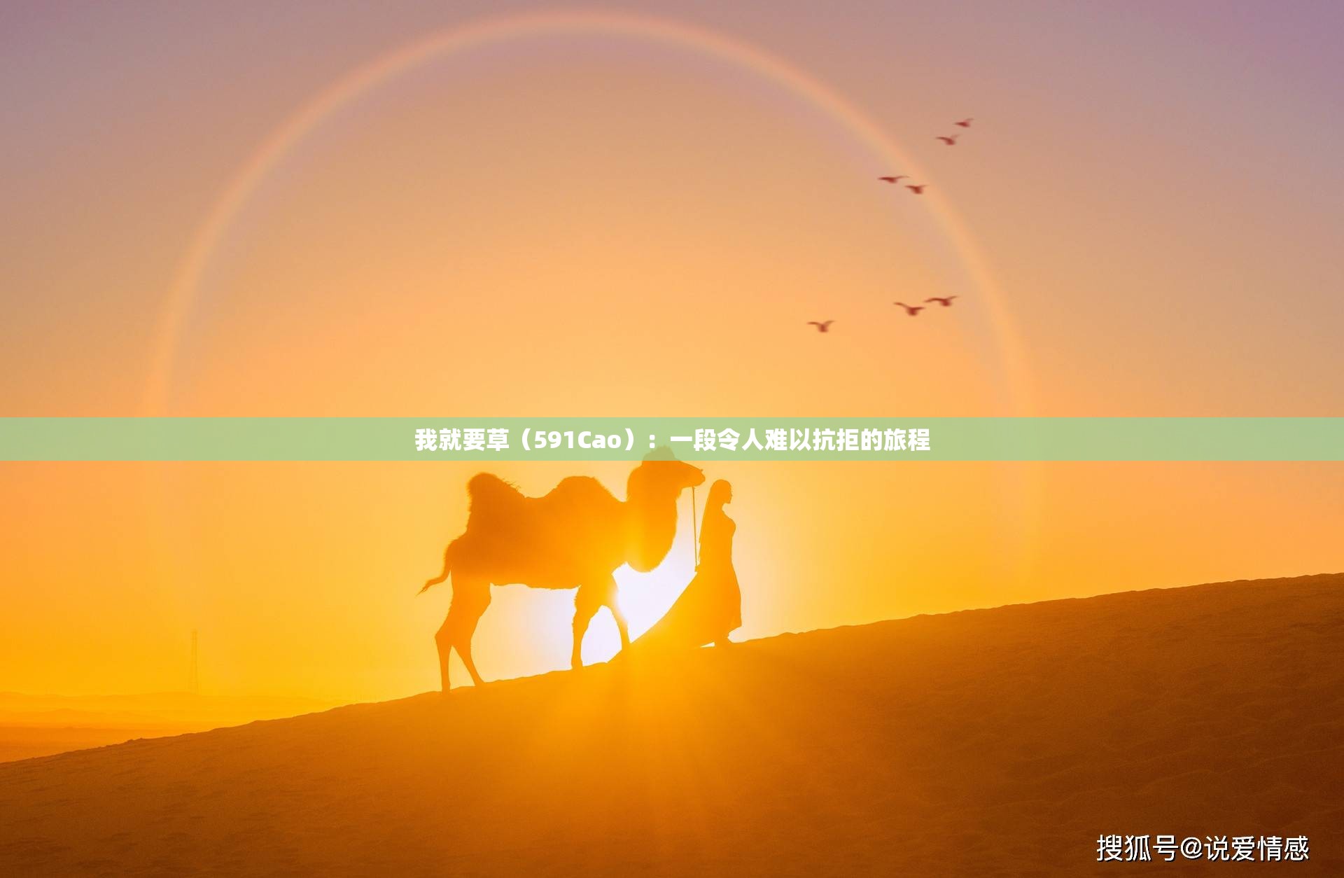 我就要草（591Cao）：一段令人难以抗拒的旅程