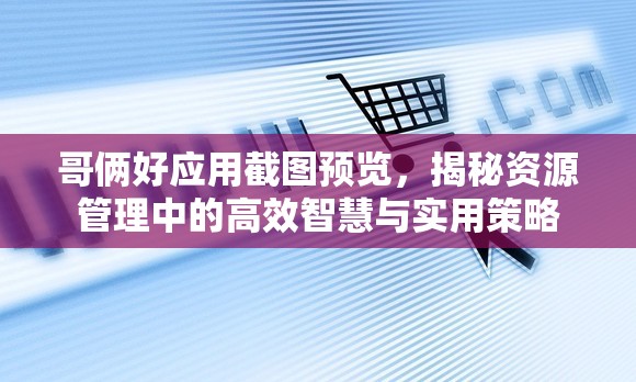 哥俩好应用截图预览，揭秘资源管理中的高效智慧与实用策略