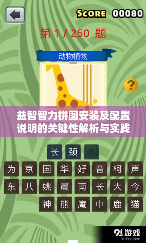 益智智力拼图安装及配置说明的关键性解析与实践操作指南