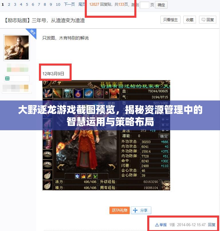 大野逐龙游戏截图预览，揭秘资源管理中的智慧运用与策略布局