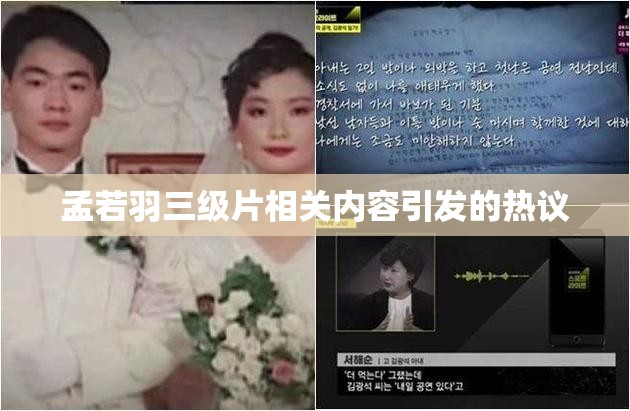 孟若羽三级片相关内容引发的热议