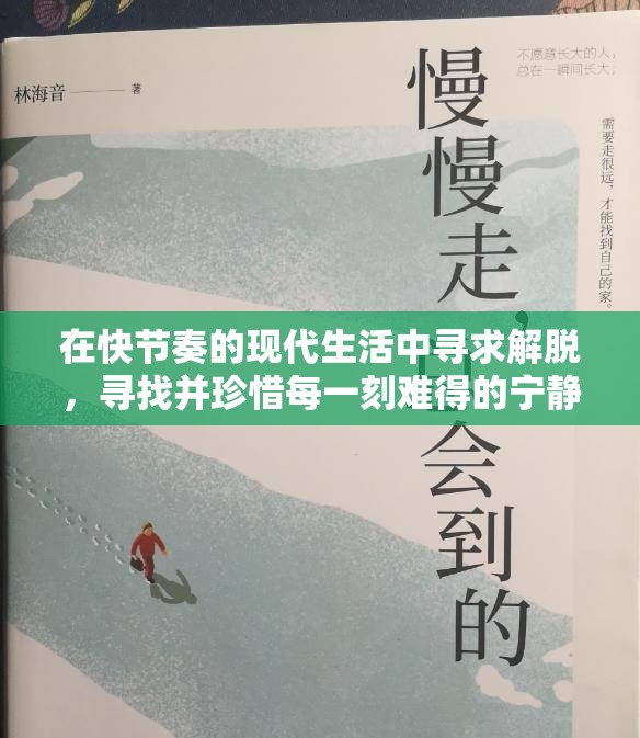 在快节奏的现代生活中寻求解脱，寻找并珍惜每一刻难得的宁静