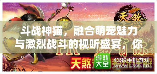 斗战神猫，融合萌宠魅力与激烈战斗的视听盛宴，你准备好迎接挑战了吗？