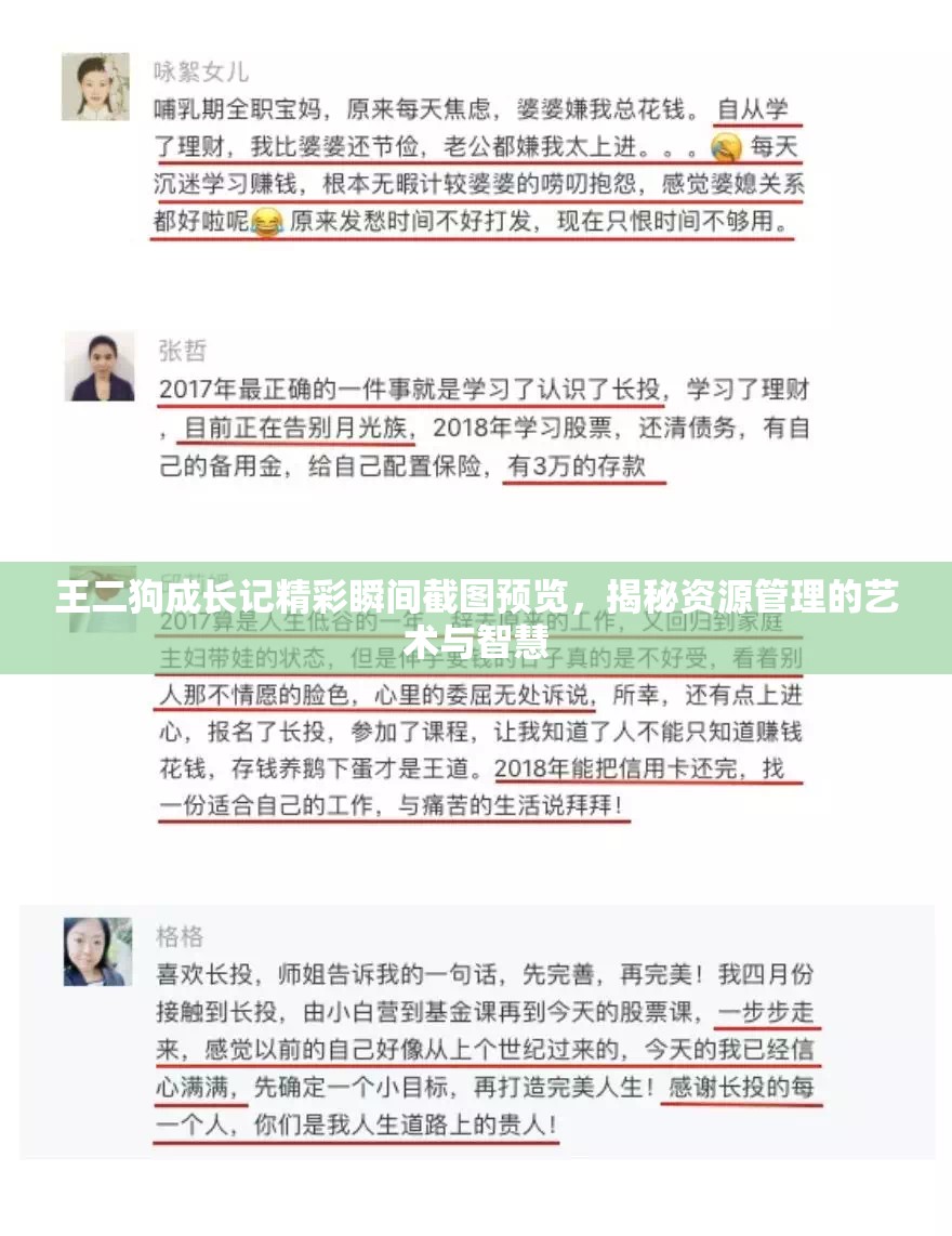 王二狗成长记精彩瞬间截图预览，揭秘资源管理的艺术与智慧
