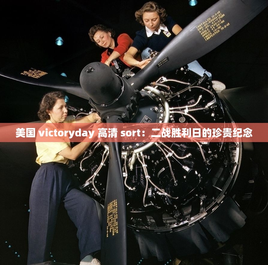 美国 victoryday 高清 sort：二战胜利日的珍贵纪念