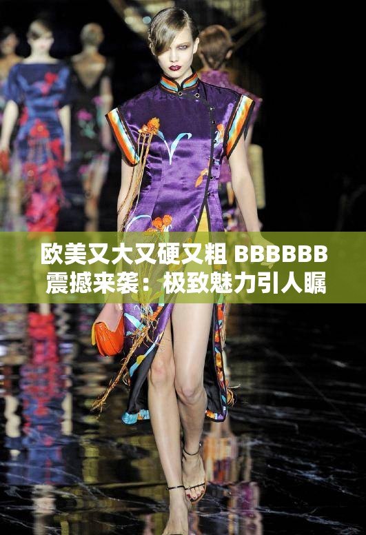 欧美又大又硬又粗 BBBBBB 震撼来袭：极致魅力引人瞩目
