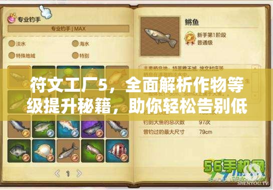 符文工厂5，全面解析作物等级提升秘籍，助你轻松告别低等级作物困扰