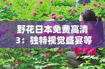 野花日本免费高清 3：独特视觉盛宴等你来享