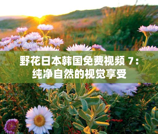 野花日本韩国免费视频 7：纯净自然的视觉享受