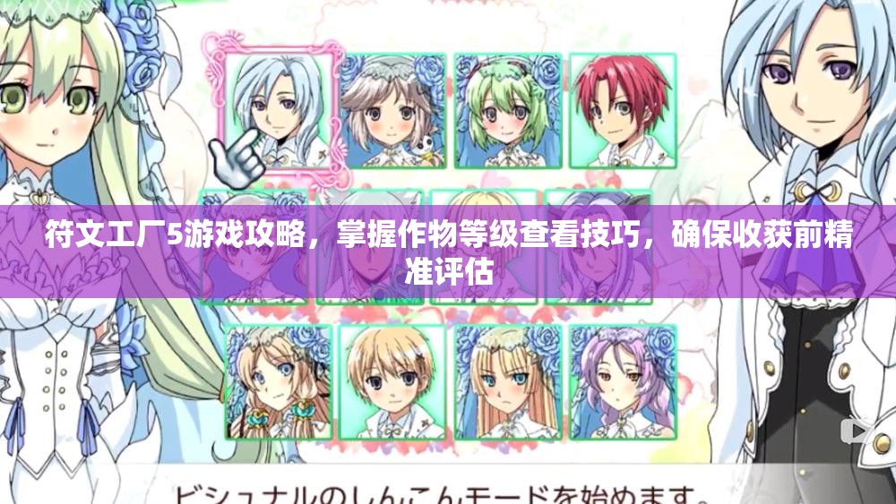 符文工厂5游戏攻略，掌握作物等级查看技巧，确保收获前精准评估